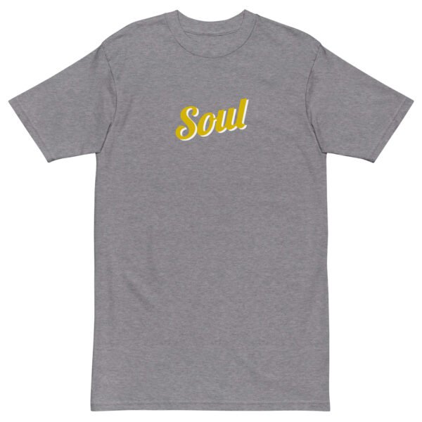 mens-premium-heavyweight-tee-carbon-grey-front-6a73c1ec935f5.jpg Soul Men’s premium heavyweight tee