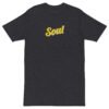 mens-premium-heavyweight-tee-charcoal-heather-front-6a73c1ec9255f.jpg Soul Men’s premium heavyweight tee