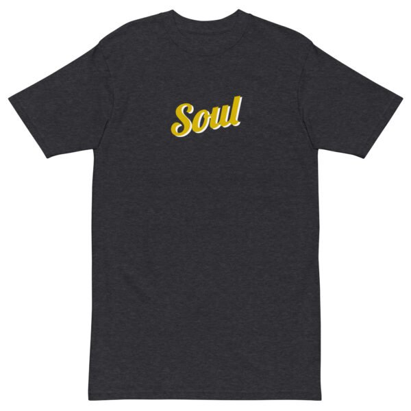 mens-premium-heavyweight-tee-charcoal-heather-front-6a73c1ec9255f.jpg Soul Men’s premium heavyweight tee